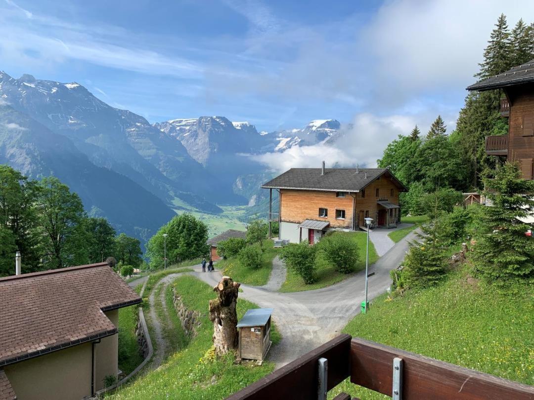 Revier Silberwiidae-Galerie Leilighet Braunwald Eksteriør bilde